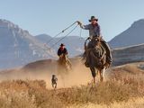 03 Riding High by Greg Duncan