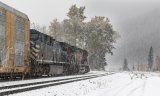 03 Tracks through the Snow by Stephen Lee