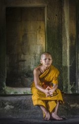 03 Young Monk by Jane Tearle