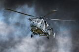 04 Wildcat by Peter Downton (Digital)