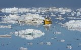 05 Icefjord Fishing Greenland by Jane Lee