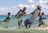 07 Fisherman Blue by Peter Yendell