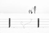 07 Jane Lee Behind The Wire