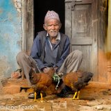 08 With His Chickens by Jane Tearle LRPS