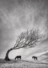09 Feeling Gravity's Pull by Tony Gill