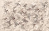 11 Lisa Bukalders Flying Finches