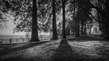 11 Morning sun near Monmouth by Ian Bennet