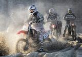 11 Riders on the Sand by Helen Jones
