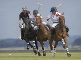 12 On the Attack by Tim Downton