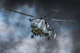12 Wildcat by Peter Downton