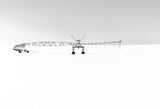 12 Winter Irrigation by Stephen Lee (Print)