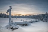 14 Finland at Minus 20 by Di Tilsley