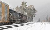 14 Tracks through the Snow by Stephen Lee