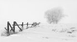 15 Fence line by Jane Lee