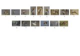 16 Hanging Plan by Tim Downton