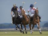 16 On the Attack by Tim Downton