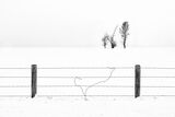18 Behind the Wire by Jane Lee