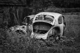 1 Old Beetles by Derek Philpott