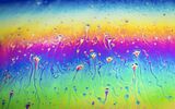 21 Psychedelic Spermatozoa by Stephen Jones