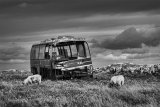 2 Abandoned Coach by Graham Lawrence