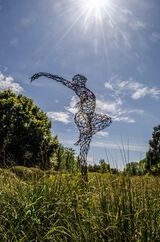 32 Reach for the Sky by Chris Parvin