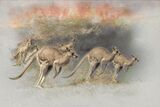 43 Global Warming by Ivor Toms