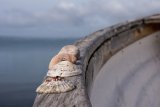 9 Shell Boat by Val Brierley LRPS