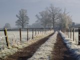 A Frosty Start by Helen Gibson, Second Section B