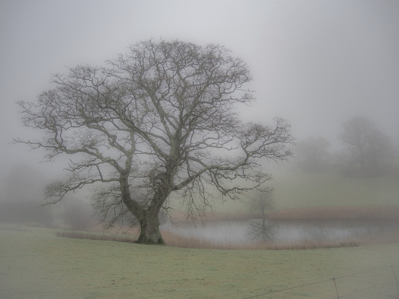 A Muted Morning at Up Cerne by Jane Tearle, Highly Commended Section A
