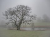 A Muted Morning at Up Cerne by Jane Tearle, Highly Commended Section A