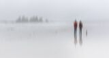 A Walk in the Rain by Jane Lee Highly Commended