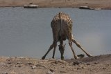 A long drink by Ann McKinna