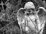 Angel by John Simpson Highly Commended Section B