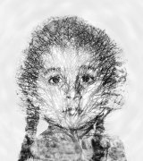 2016-17 Competition 5: Creative