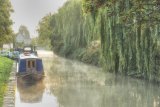 Autumn Morning on the Canal by Rob Bridge