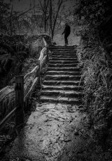Being Followed by Linda Kemp