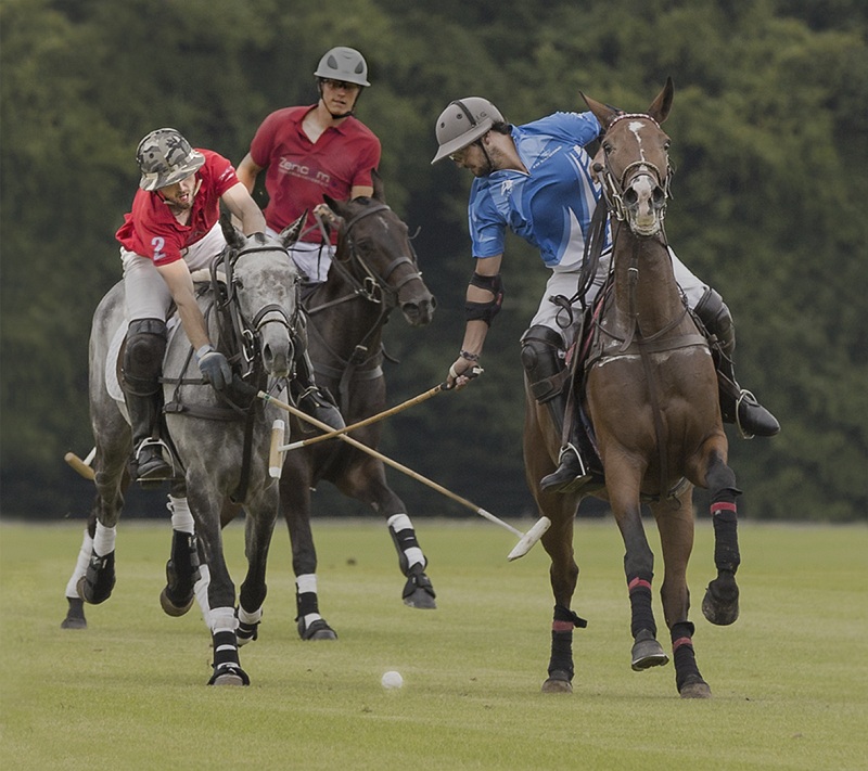 Blocking The Shot by Susan Buckland