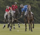 Blocking The Shot by Susan Buckland