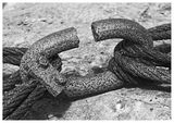 Broken Link by Phil Whiffing Highly Commended Section B