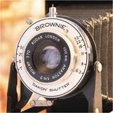 Brownie by Phil Whiffing Highly Commended Section B