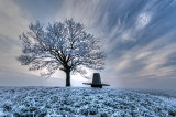 Burrow hill hoare frost by Rob Bridge (LRPS Panel)