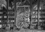 Bustalls, Barrington Court by Phil Whiffing Third Club Section