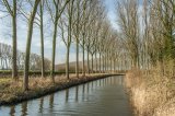 Canalside by Jez Cunningham
