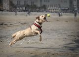 Catch by Stephen Jones