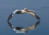 2015-16 Competition 6: Focus on Nature Digital
