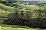 Dorset Landscape by Angie Diamond 3rd Place