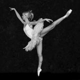 En Pointe by Val Brierley Highly Commended Section A