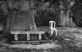 Enigma by John Tilsley Highly Commended Advanced Section