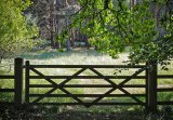 Field Gate Jeremy Lee-Potter