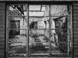 Fifty Shades of Decay by Josh Walker